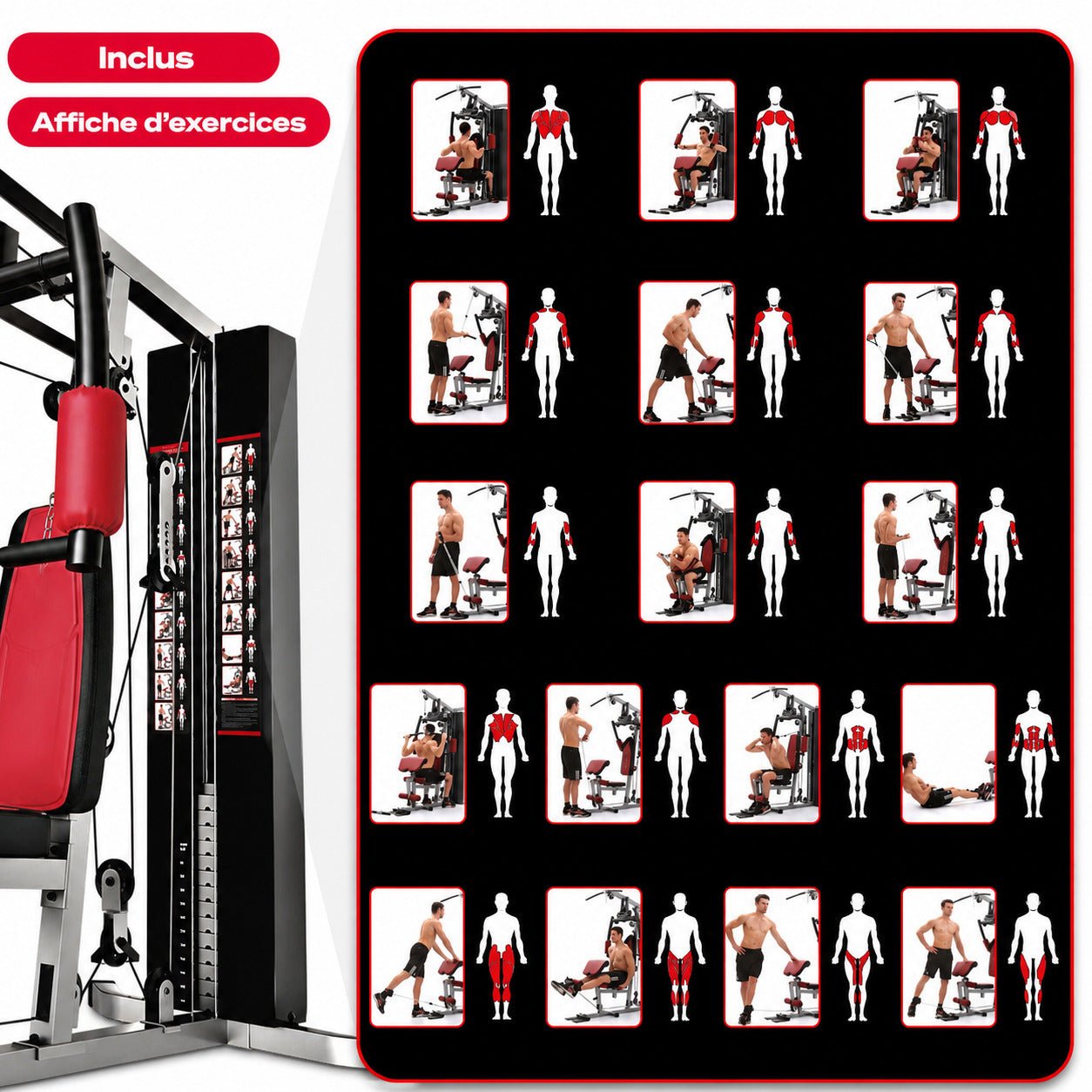 Station de musculation Vulcan V50